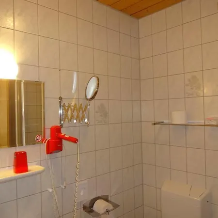 Gästehaus Glück Wir Haben Immer Eintrittskarten Für Den Europa-park Für Sie! Gasthof 3*